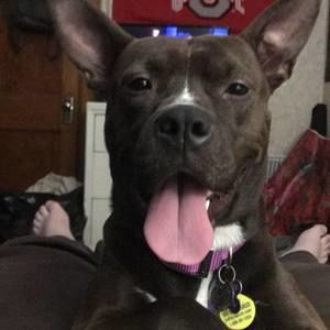 Meet your Posher, Anthony